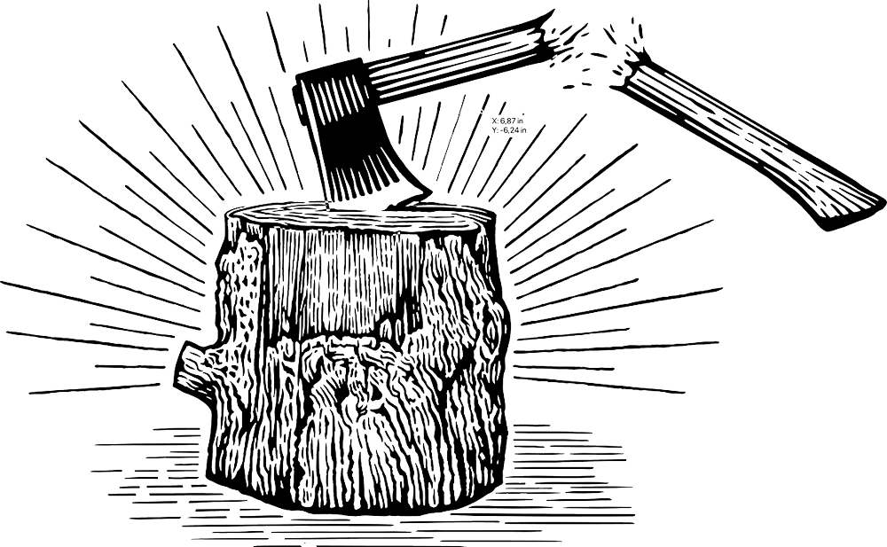 About Wild Burn Charcoal