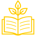 Consultoría y Capacitaciones